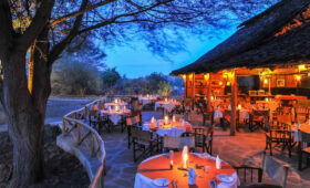 Where to Stay in Tsavo for Wildlife Viewing