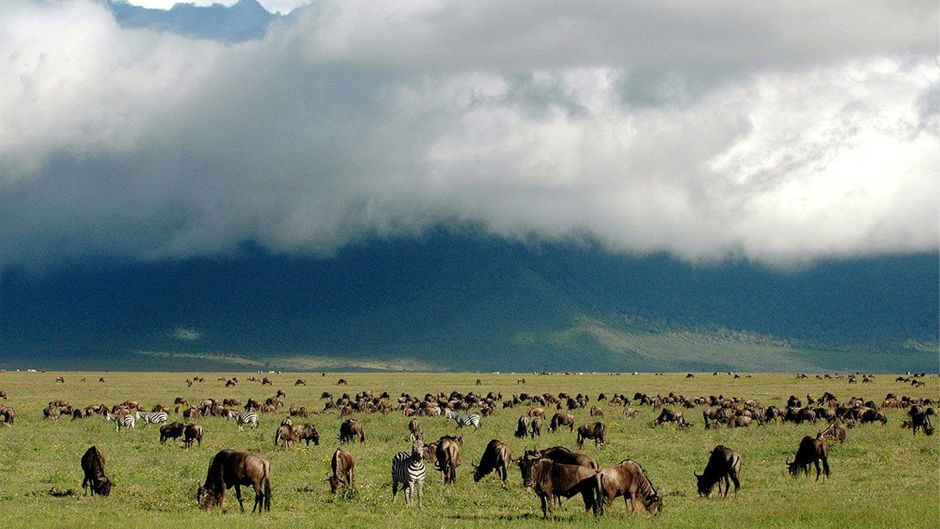 11-Days-Tanzania-High-End-Luxury-Safari..