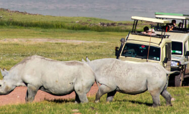 2 Days Tanzania Lodge Safari