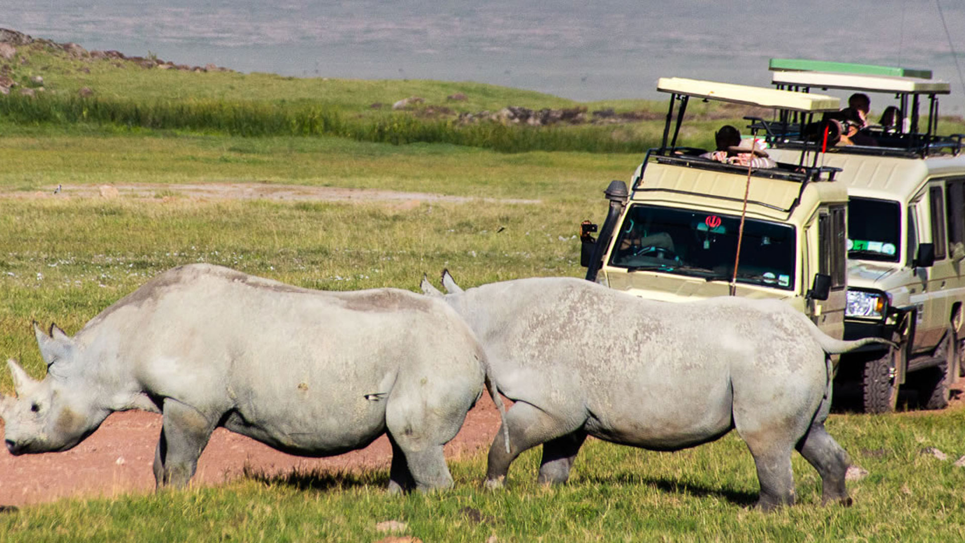 2 Days Tanzania Lodge Safari