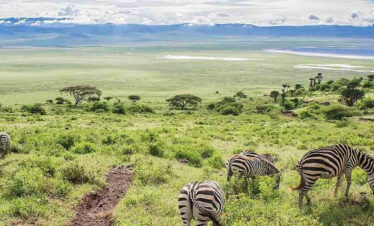 4-Days-Tanzania-Luxury-Safari..