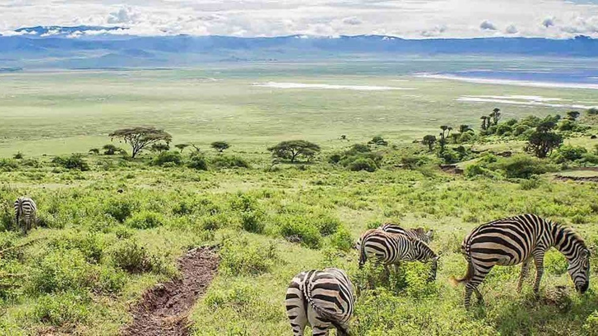 4-Days-Tanzania-Luxury-Safari..