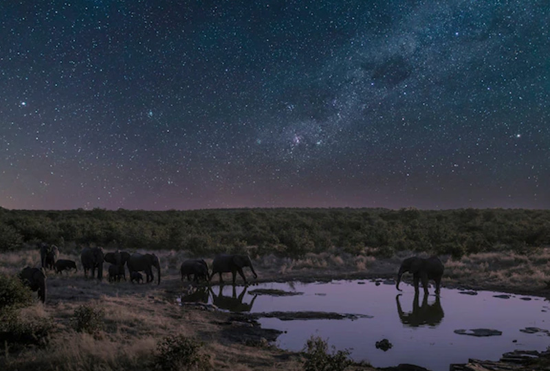 Best Remote Villages in Tanzania for Stargazing