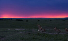 Dark Sky Preservation in Tanzania