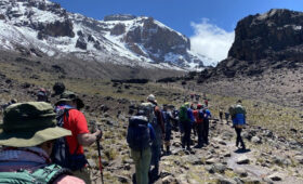 Eco & Vegan Adventures: Climb Kilimanjaro + Safari in One Trip Everything You Need to Know