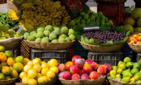 Fresh Fruits & Plant-Based Delights in Tanzania