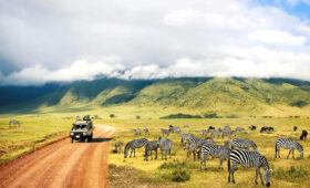 From Summit to Savannah: Vegan Adventures across Tanzania