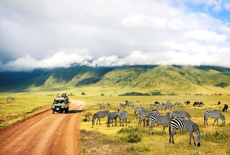 From Summit to Savannah: Vegan Adventures across Tanzania