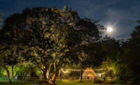 How Much Do Stargazing Tour in Tanzania Cost.