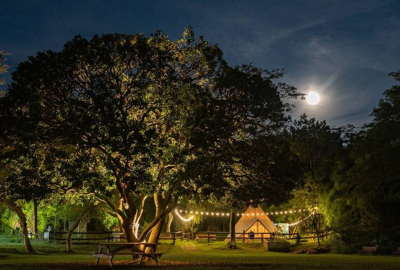 How Much Do Stargazing Tour in Tanzania Cost.