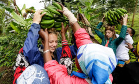 How Vegan Travel Supports Wildlife and Communities in Tanzania