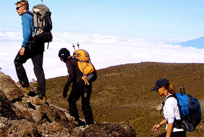How to Book a Vegan-Friendly Kilimanjaro Trek in Tanzania