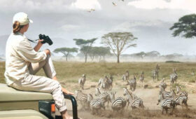 Is Tanzania Vegan-Friendly? Safari Experiences Explained