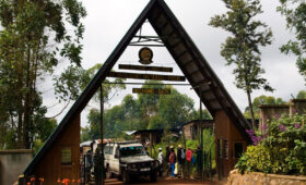 Kilimanjaro National Park Tours