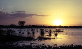 Lake Manyara Night Sky Views: A Hidden Gem