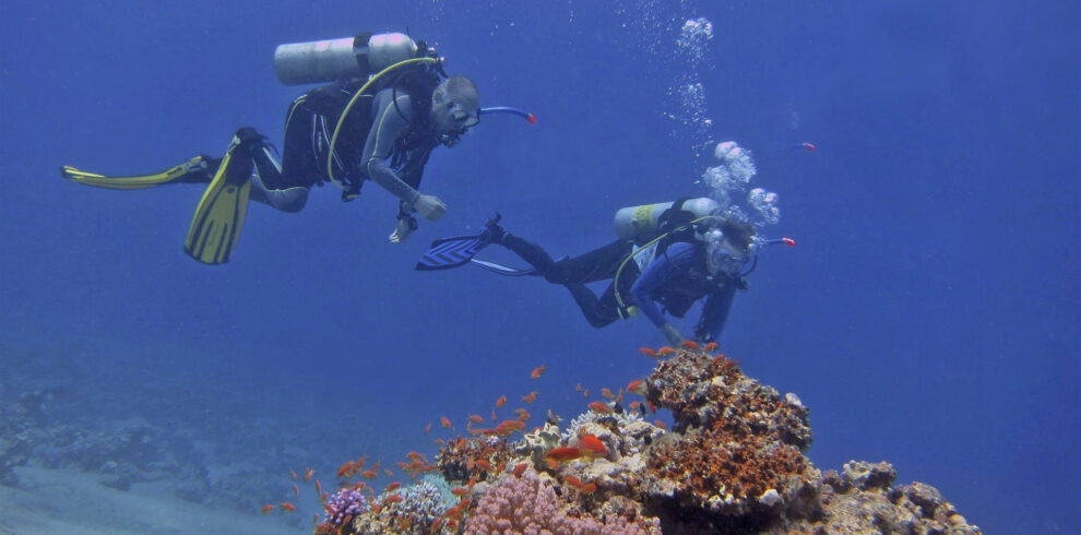 Mafia Marine Park Snorkeling/Diving – reefs & sandbars.