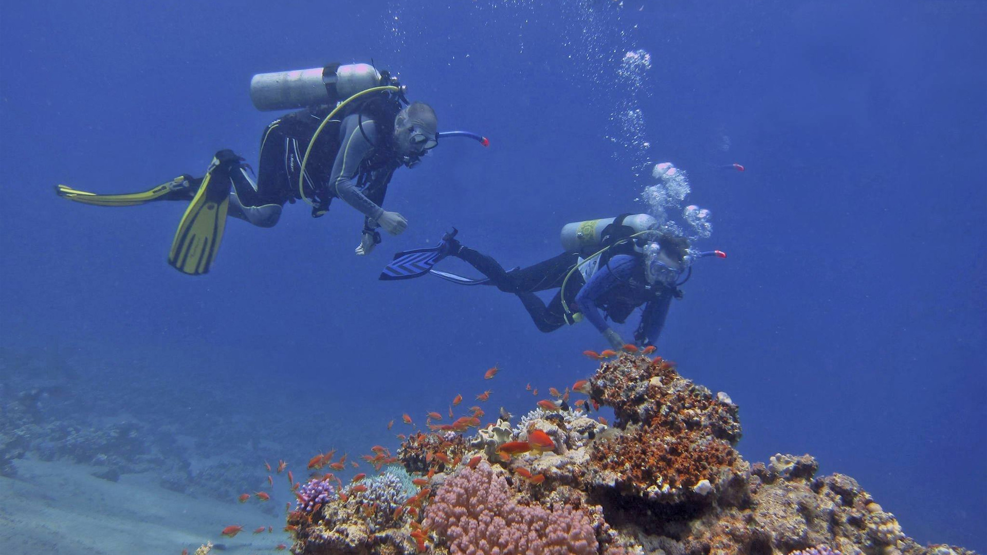 Mafia Marine Park Snorkeling/Diving – reefs & sandbars.