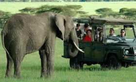 How- to- Book- Uganda -Safaris- with- Local -Tour -Operators