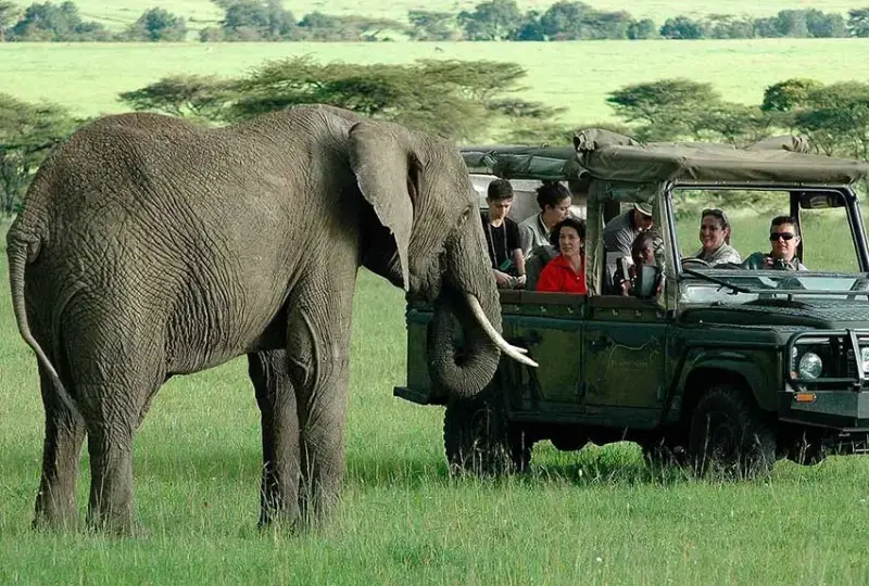 How- to- Book- Uganda -Safaris- with- Local -Tour -Operators