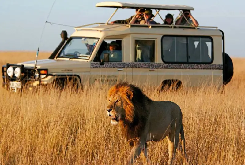 Uganda- Safari- Travel -Insurance -Guide