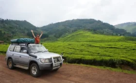 Self-Drive -Safari -in -Uganda-Pros -and- Cons