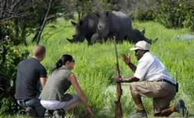Conservation- Success-Stories- in -Uganda