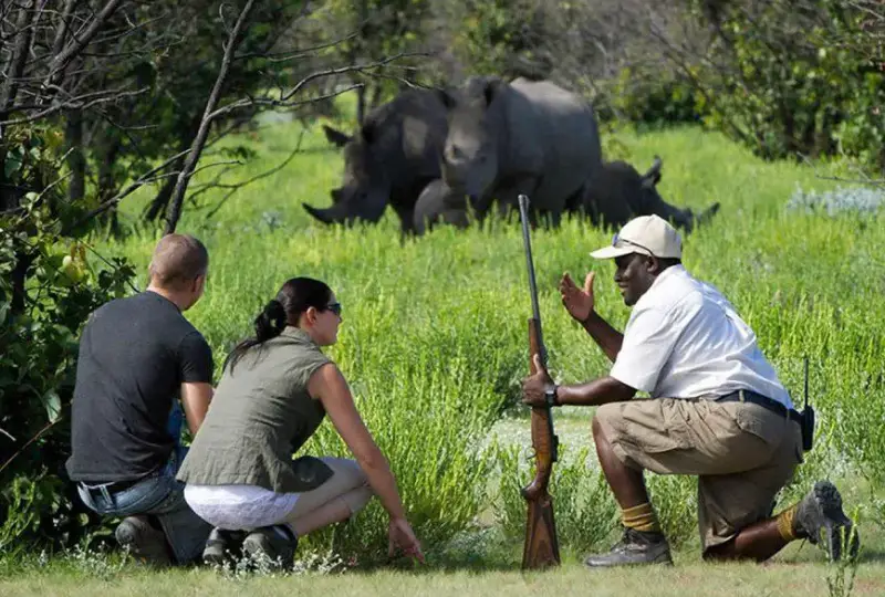 Conservation- Success-Stories- in -Uganda