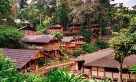 Top- Safari -Camps- in-Uganda- National- Parks