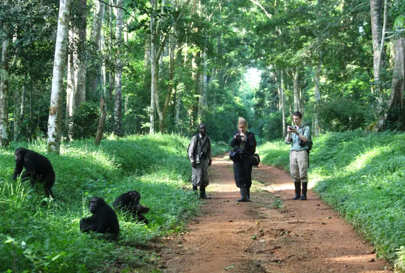 Walking- Safaris- in- Uganda’s -Forest -Reserves