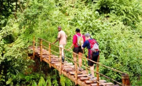 What- to- Expect- on- a -Nature -Walk- in- Uganda