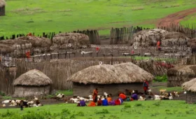 Discover- the- Maasai- Boma- Villages