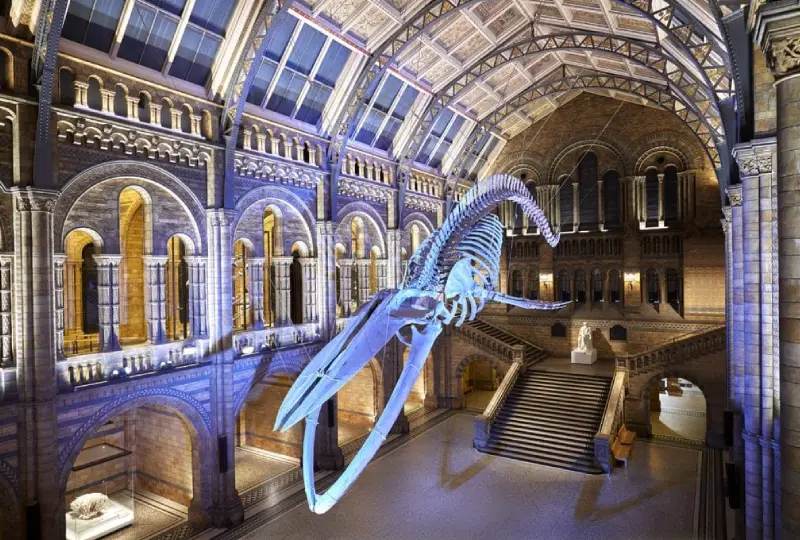 Visit- the- Natural -History- Museum