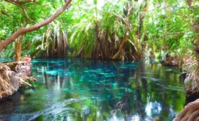 Explore- Chemka -Hot- Springs-Kikuletwa