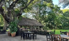 Visit- Usa -River -Town- Nearby- Arusha
