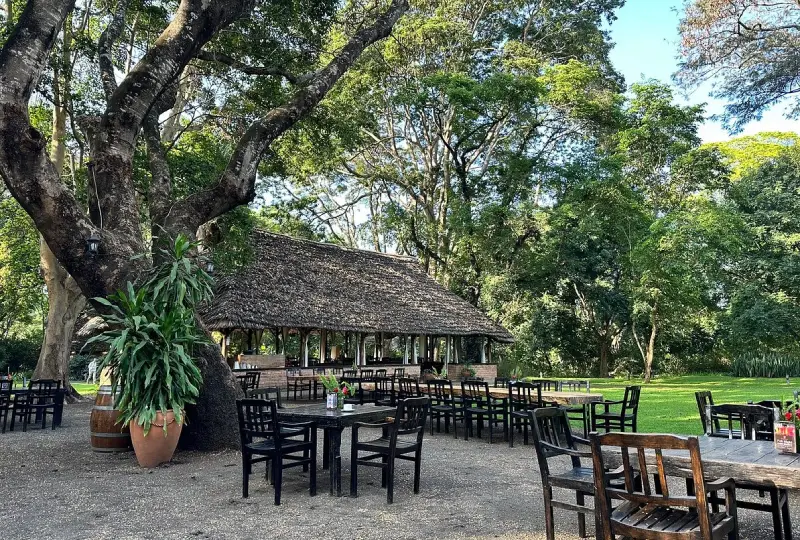 Visit- Usa -River -Town- Nearby- Arusha