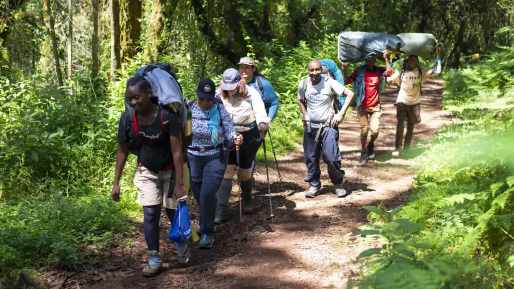 5 Days- Kilimanjaro- Climbing- Rongai- Route