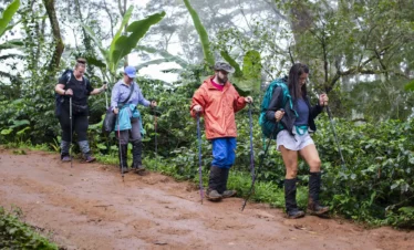 Kilimanjaro- Day- Hike -Marangu- Route