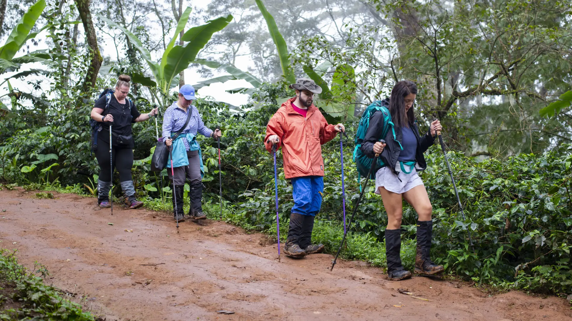Kilimanjaro- Day- Hike -Marangu- Route
