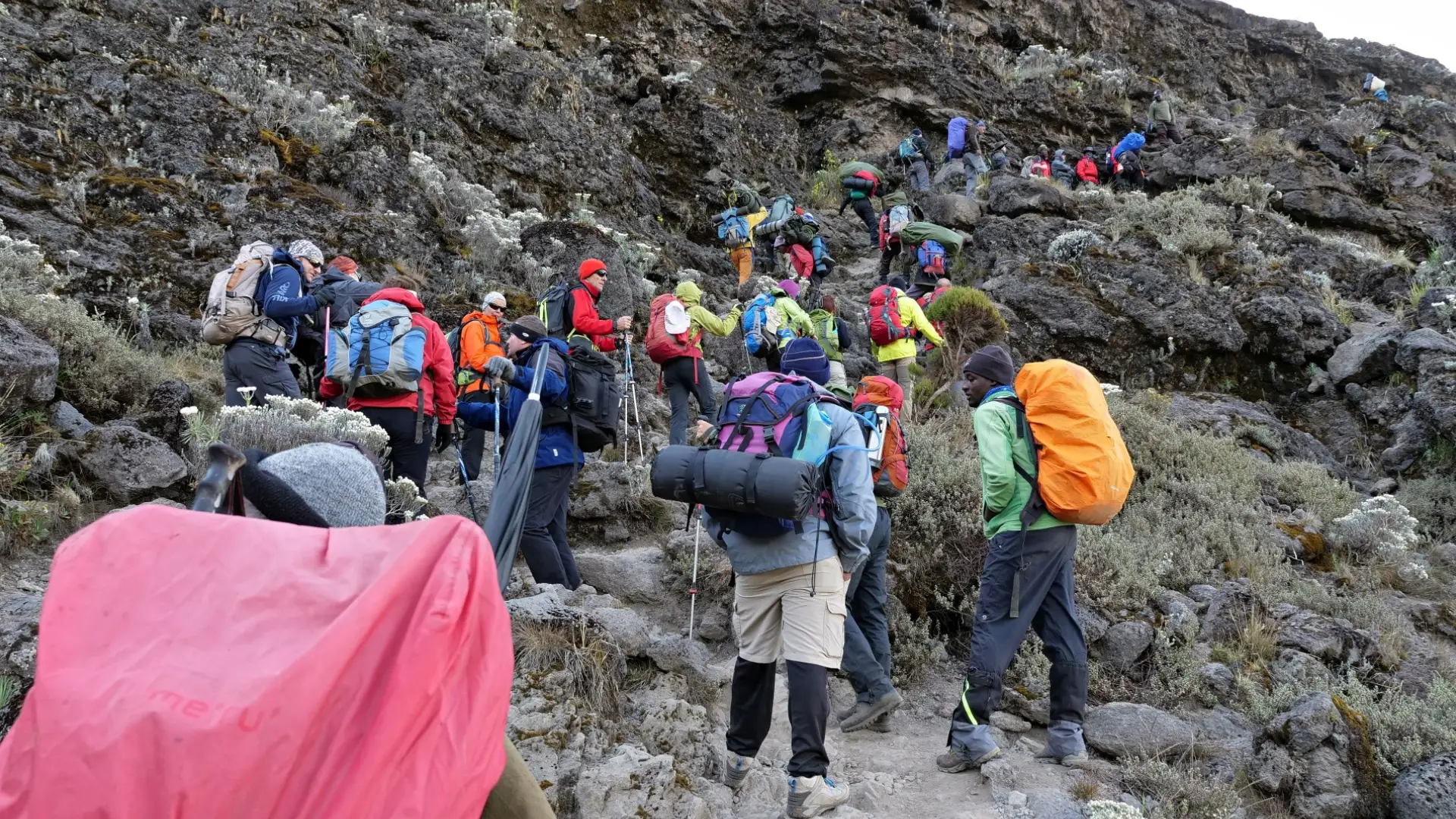 6 Days- Kilimanjaro- Climbing- Umbwe -Route