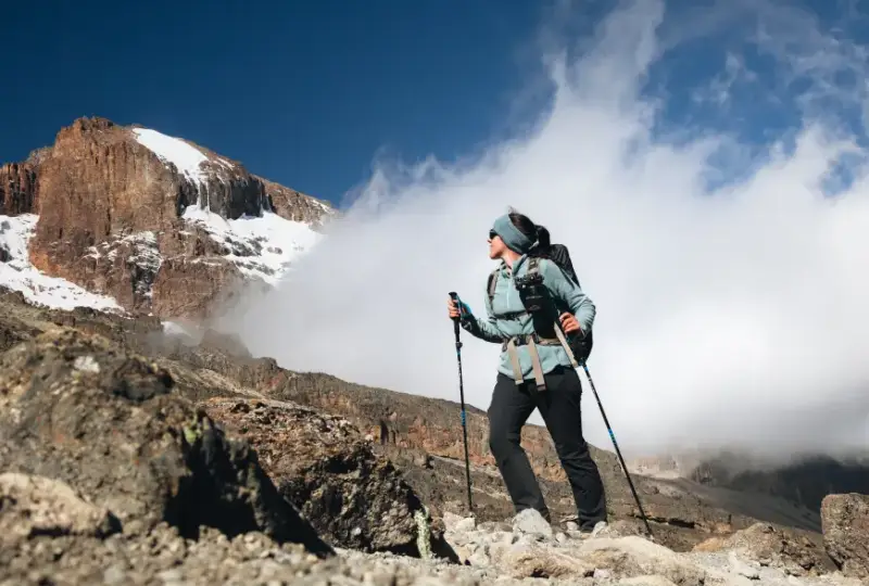 8 Days -Kilimanjaro -Climb- Northern -Circuit -Route