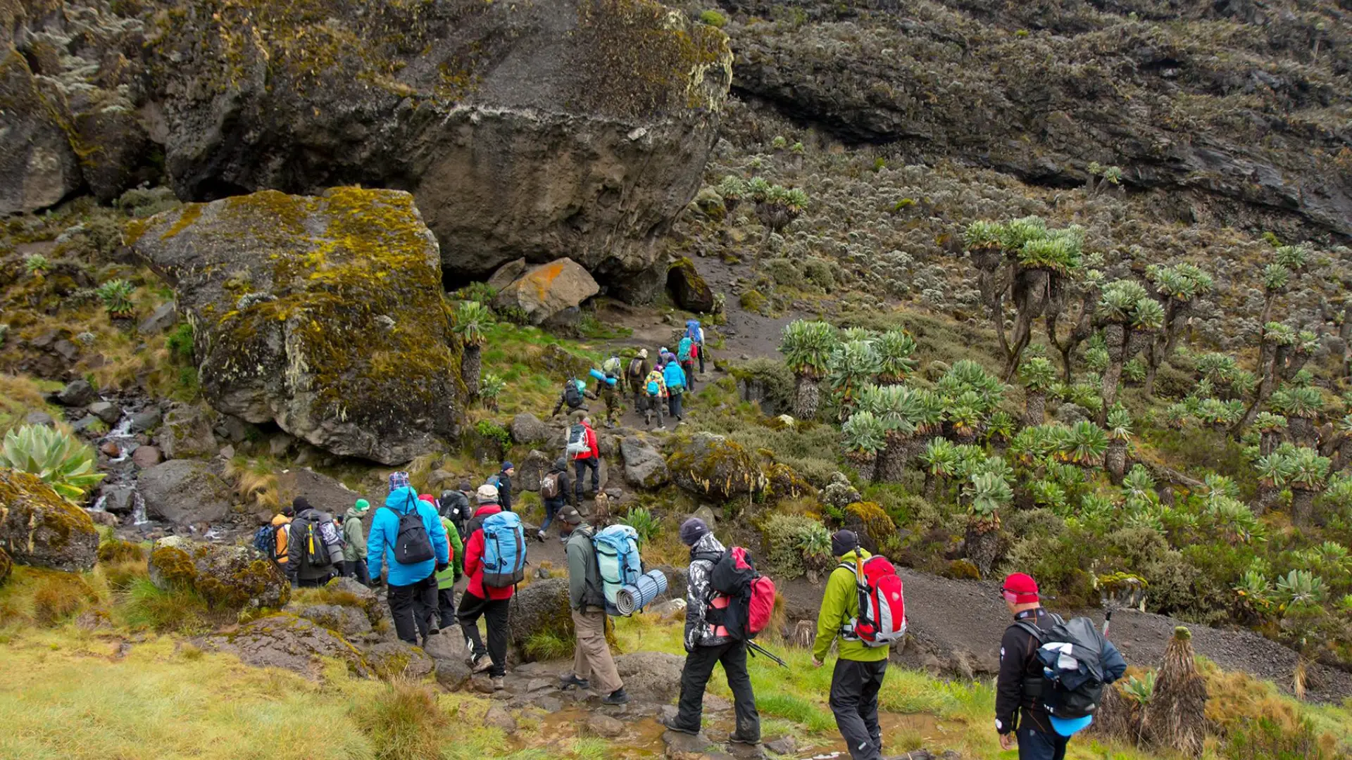 4 Days -Mount -Meru- Climb