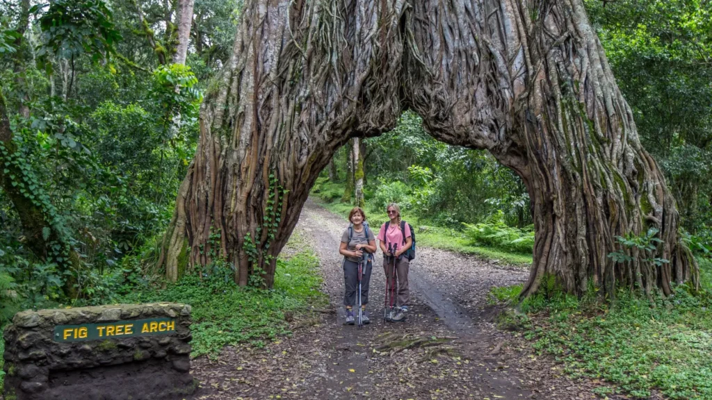 Arusha- National -Park -Day -Trip