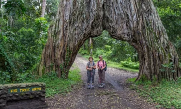 Arusha- National -Park -Day -Trip