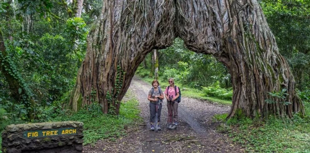 Arusha- National -Park -Day -Trip