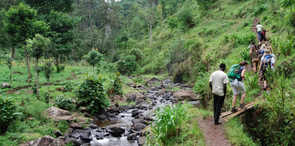 Materuni- Waterfalls- & Coffee- Tour -Day- Trip