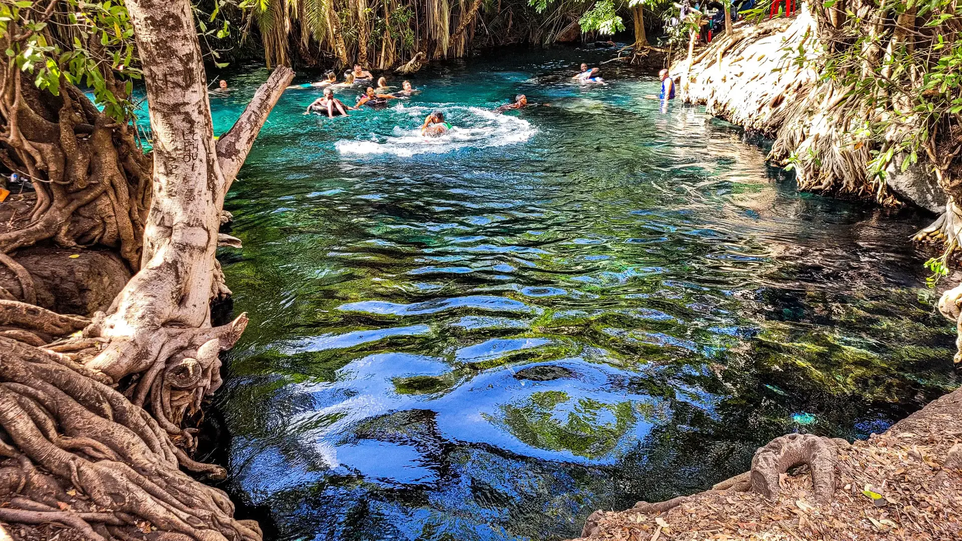 Hot -Springs - Kikuletwa -or -Chemka- Day- Trip