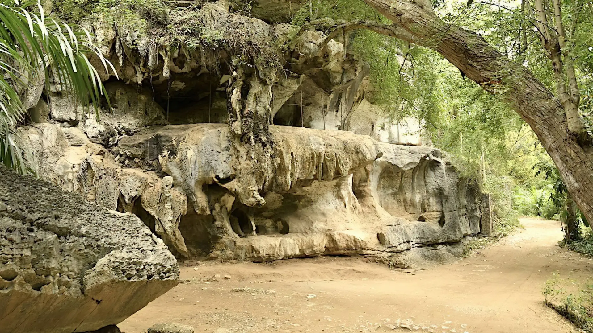 Amboni -Caves- Day -Trip