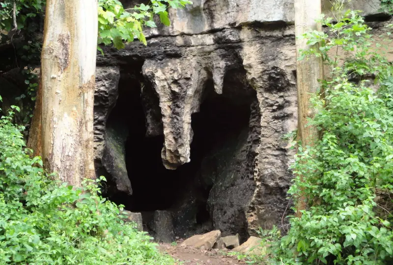 Amboni -Caves- Day -Trip