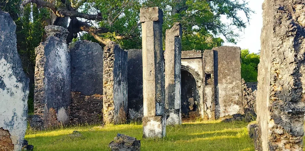 Tongoni -Ruins -Day- Trip