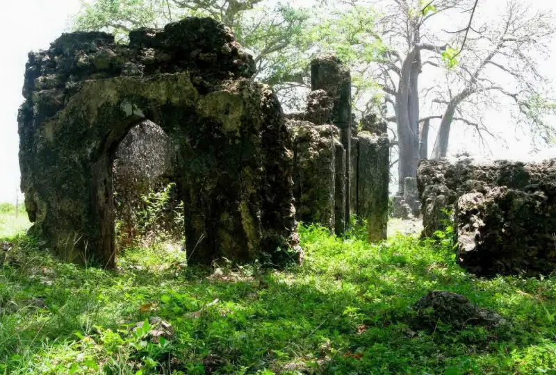 Tongoni -Ruins -Day- Trip